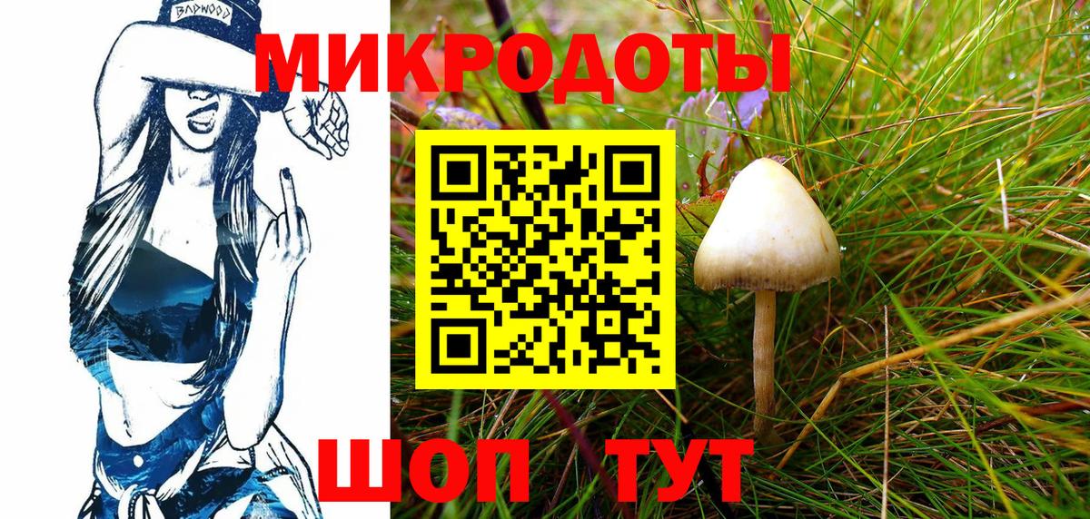 Псилоцибиновые грибы Psilocybe Балашов