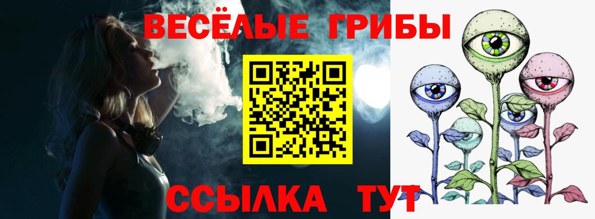 Балашов  Псилоцибиновые грибы ЛСД  Вход с VPN  Псилоцибиновые грибы Magic Shrooms 